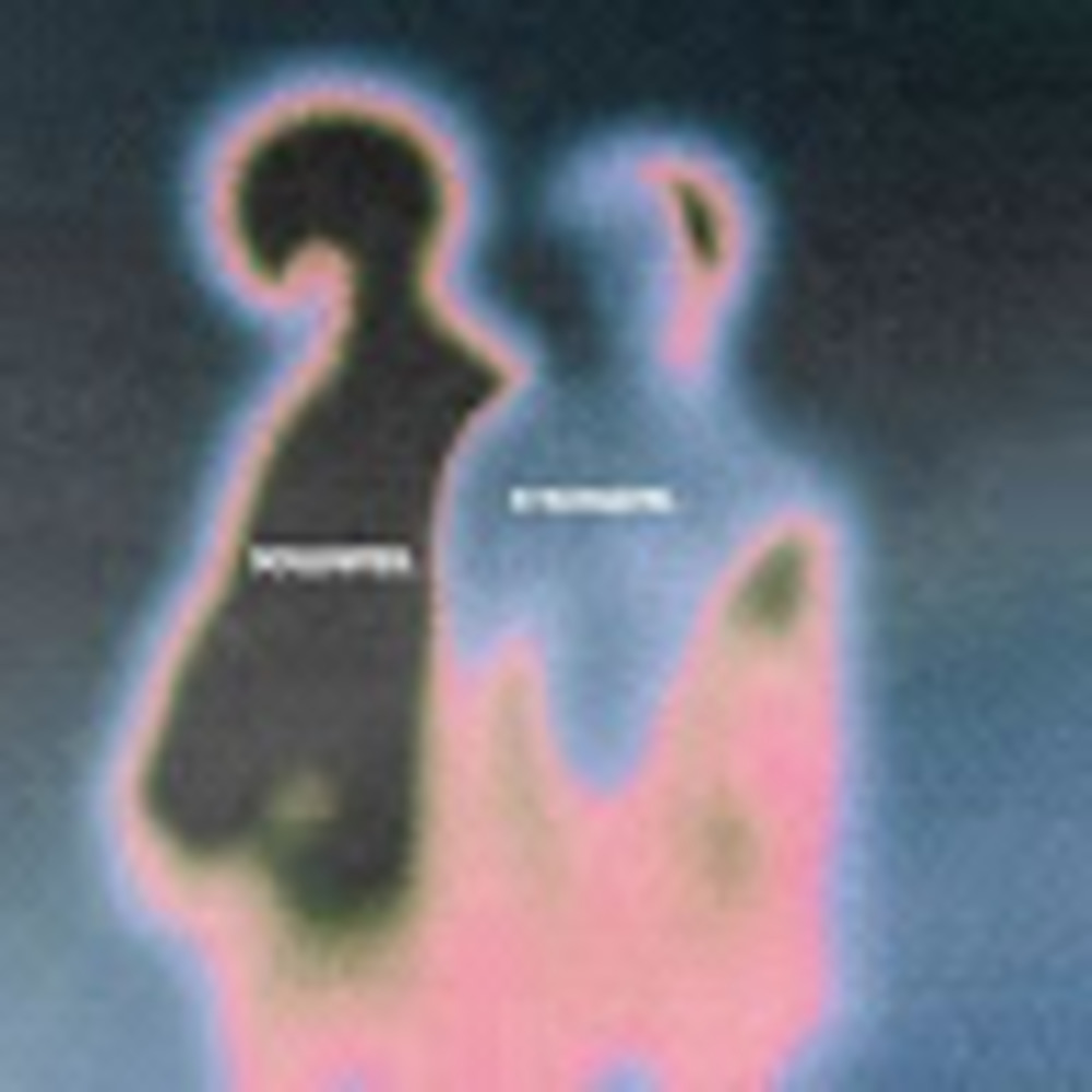 Meet your Posher, Kira